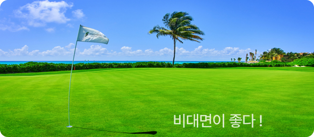 비대면 좋다